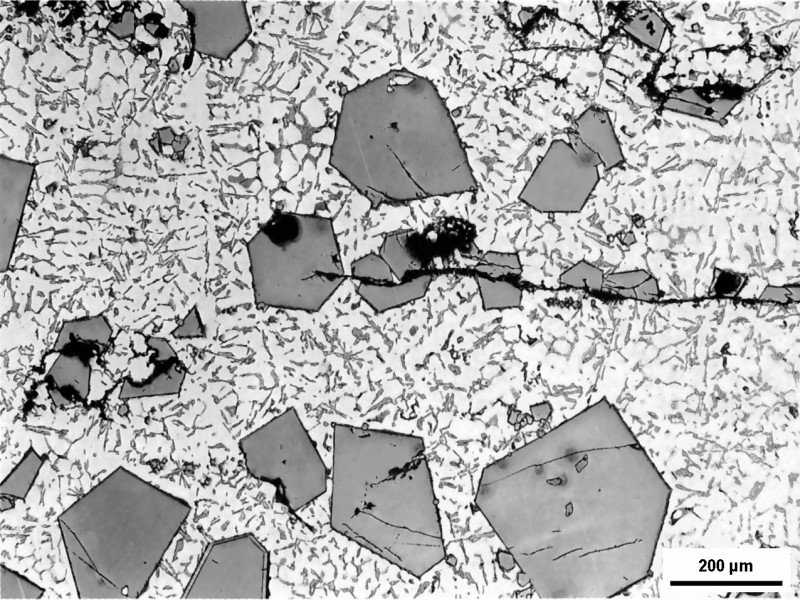 Bild 1: Schliff aus einem Al Si9Cu3(Fe)-Massel mit großen, polygonalen γ-Al(FeMn)Si-Phasen, Ätzung mit 0,5%-HF. Diese Phasen entstehen bei hohen Fe- und Mn-Gehalten bzw. durch Schwereseigerung bei zu geringer Warmhaltetemperatur der Schmelze, Quelle: Metallographic Atlas of Cast Aluminium Alloys.