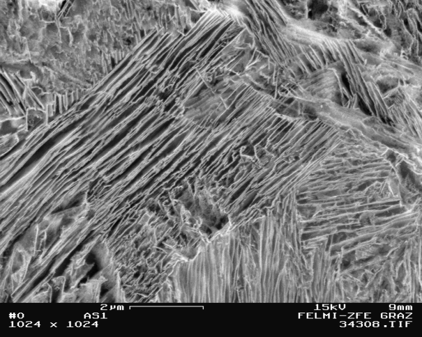 Bild 1: Gefüge von ausferritischem Gusseisen mit Kugelgrafit, Lattenferrit mit stabilisiertem Austenit, 5000:1, geätzt (Quelle: FT&E)