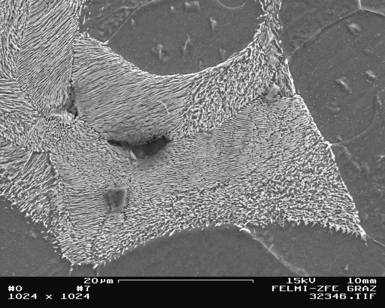 Bild 1: REM-Aufnahme von Eisenkarbid im Gusseisen mit Kugelgrafit, die Einschlüsse im Zementit sind Titankarbonitride 