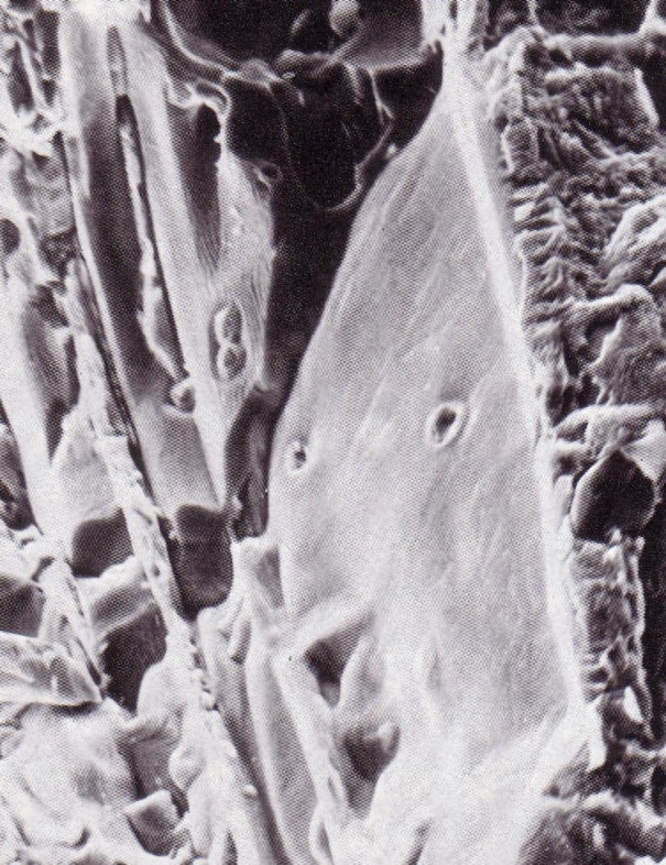 Bild 12: Martensitisches Gefüge bei Gusseisen mit Kugelgrafit, 1000:1, geätzt