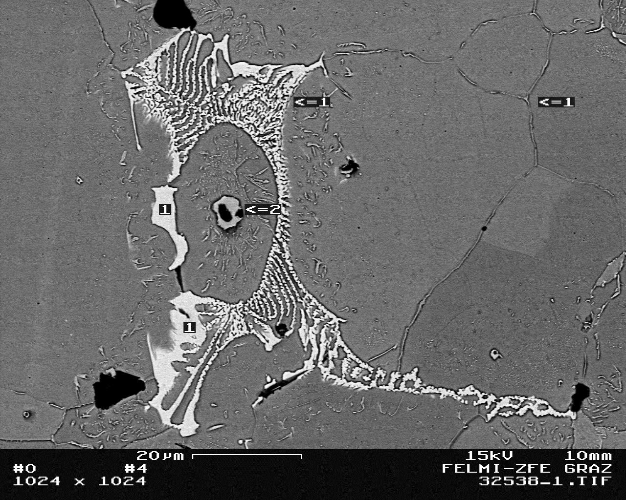 Fig. 1. Typical molybdenum carbides of GJS, 1000:1, etched