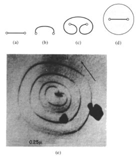 Bild 1: Versetzungsbildung durch eine Frank-Read-Quelle, a-d: schematisch, e: transmissionselektronenmikroskopische Aufnahme, (Quelle: J. Brittain, Met. Trans. 6A, 1975)