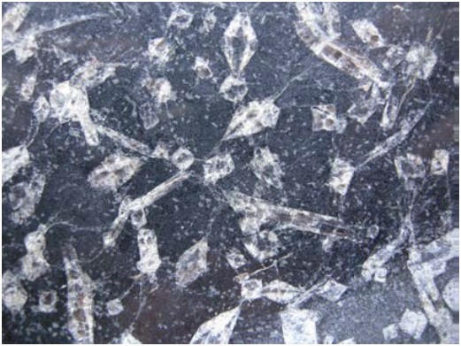 Fig. 1: Andalusite crystals in rock, Source: C.A.R.R.D 