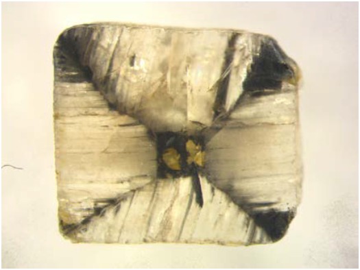 Bild 2: Freigelegter Andalusit Kristall, Quelle: C.A.R.R.D  
