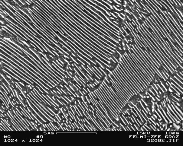 Bild 1: Lamellare Perlitausbildung bei unlegiertem Gusseisen mit Kugelgrafit, Wanddicke 15 mm, 5000:1, geätzt