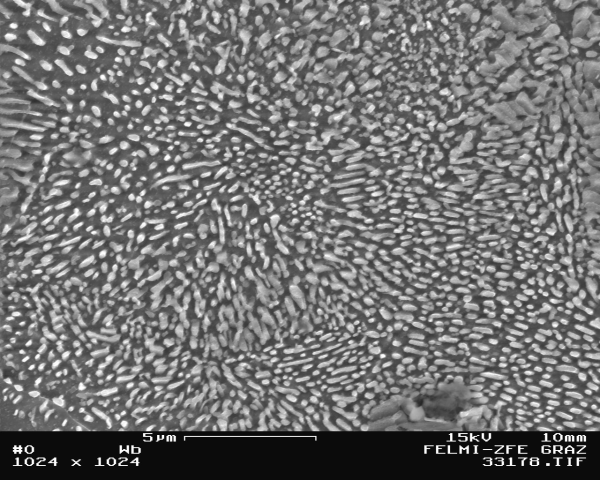 Bild 4: Körniger Perlit im Gefüge von GJS, wärmebehandelt, 5000:1, geätzt