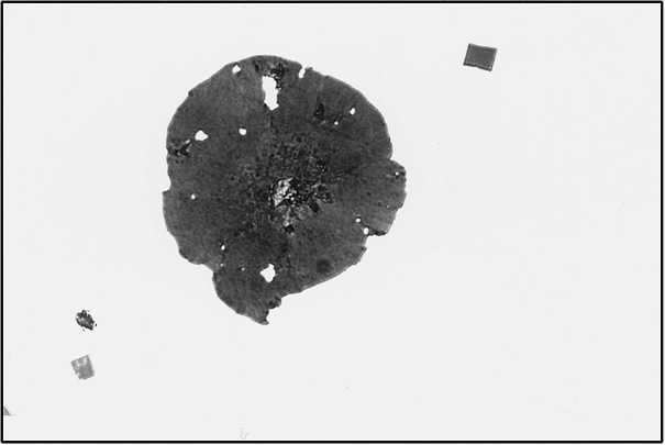 Fig. 3: Titanium carbides, wall thickness 75 mm, Magnification 600:1, not etchedFig. 4: “Chinese characters”; Designation for eutectic mixed carbides rich in molybdenum, wall thickness 75 mm, Magnification 300:1, etched using HNO3