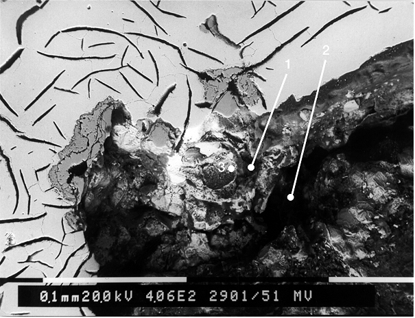 Fig. 3: SEM image of Figure 2, the marked points 1 to 3 are EDX measuring points (source: FT&E)