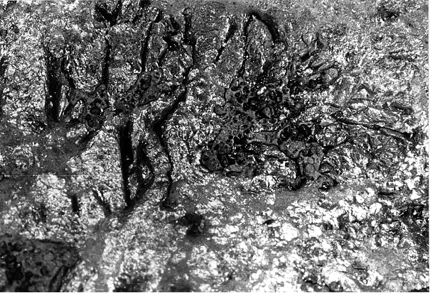Fig. 1: Typical rippled, wrinkled appearance of lustrous carbon inclusions that rise to the surface of the iron due to oversupply of lustrous carbon-forming components and pile up at the casting surface, magnification 5:1 