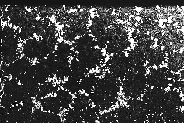 Fig. 12: Eutectic grains in cast iron structures, etched using Na-thiosulfate, magnification 14:1 
