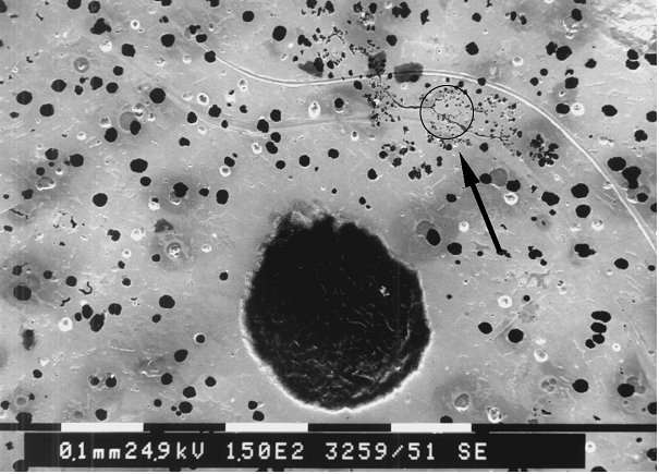 Fig. 1: Image of nodular graphite cast iron structure; a large gas blister and non-metal inclusions above the blister are clearly distinguishable, magnification 150:1 (source: FT&amp;E)