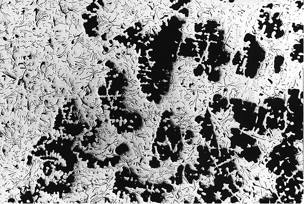 Fig. 2:  Matrix of flake graphite cast iron with shrinkage cavities in the area of the melt solidified last, magnification 10:1, not etched