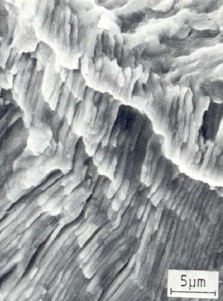 Fig. 4: Fatigue rupture surface in a type of C steel, pearlite colony break-up of flake structures, 3000:1