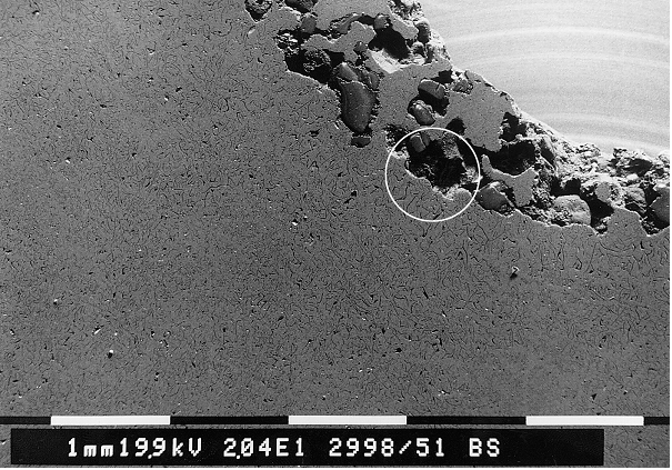 Bild 4: REM-Aufnahme von Vererzung an der Gussteiloberfläche, deutlich sind die ein- und aufgeschmolzenen Sandkörner sichtbar