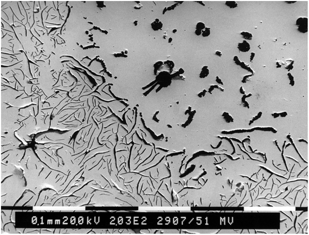 Fig. 1: Graphite degeneration due to the influence of interfering elements (SEM image)