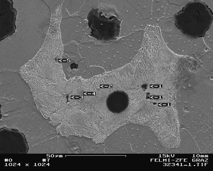Fig. 2:  Non-metallic inclusions in the solidification structure of GJS, interstitial to pearlite, 500:1, etched