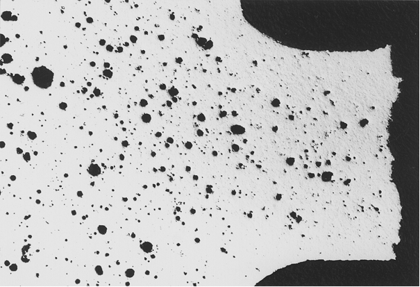 Bild 1: Wasserstoffporosität im Schliff quer zur Bruchfläche aus einem Gussteil aus der Legierung Al Si9Cu3(Fe); im vorliegenden Fall führte die Porosität zum Bruch des Bauteiles, 10:1