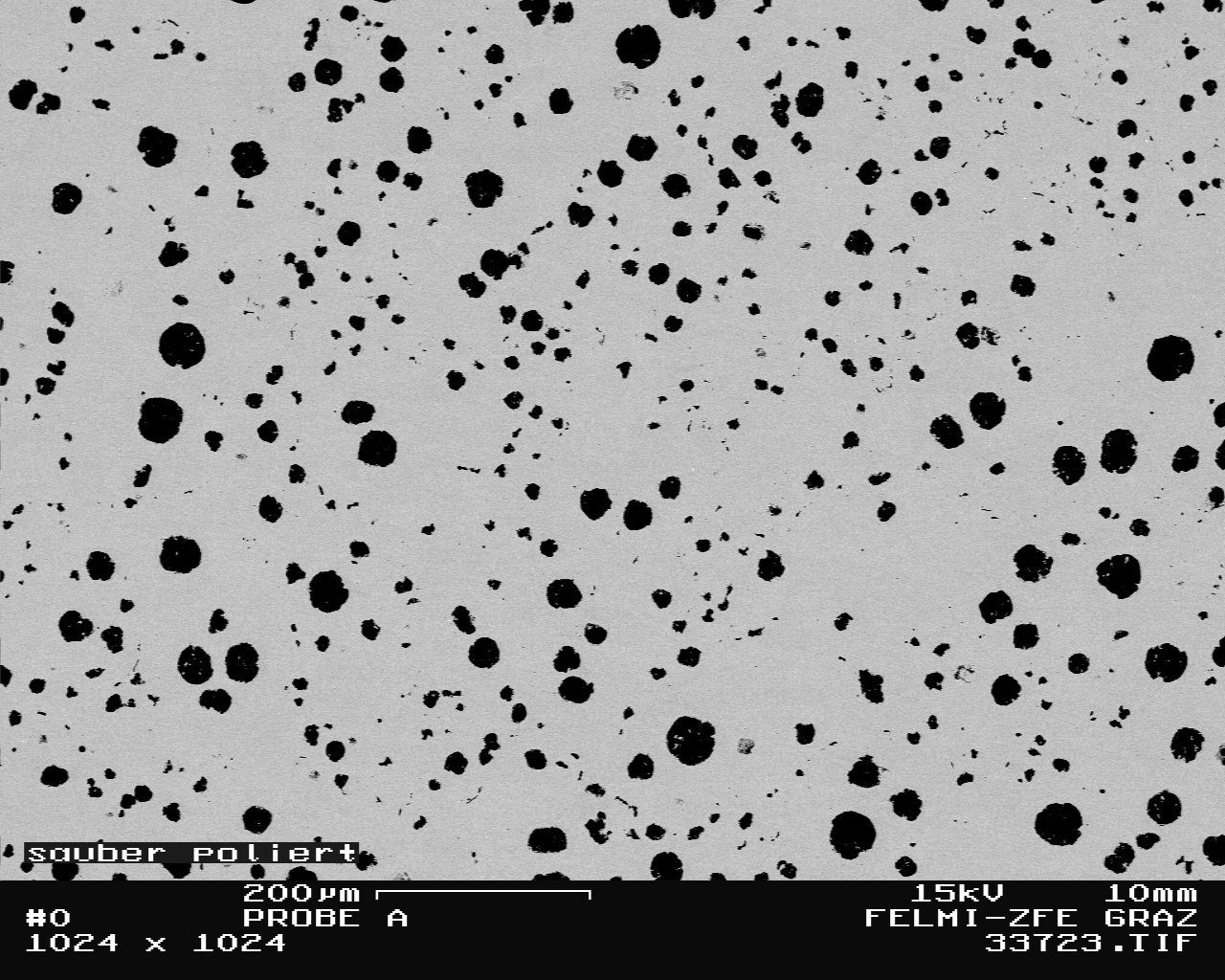 Bild 1: Gut geschliffene und polierte Probe aus Gusseisen mit Kugelgrafit, 100:1 ungeätzt  