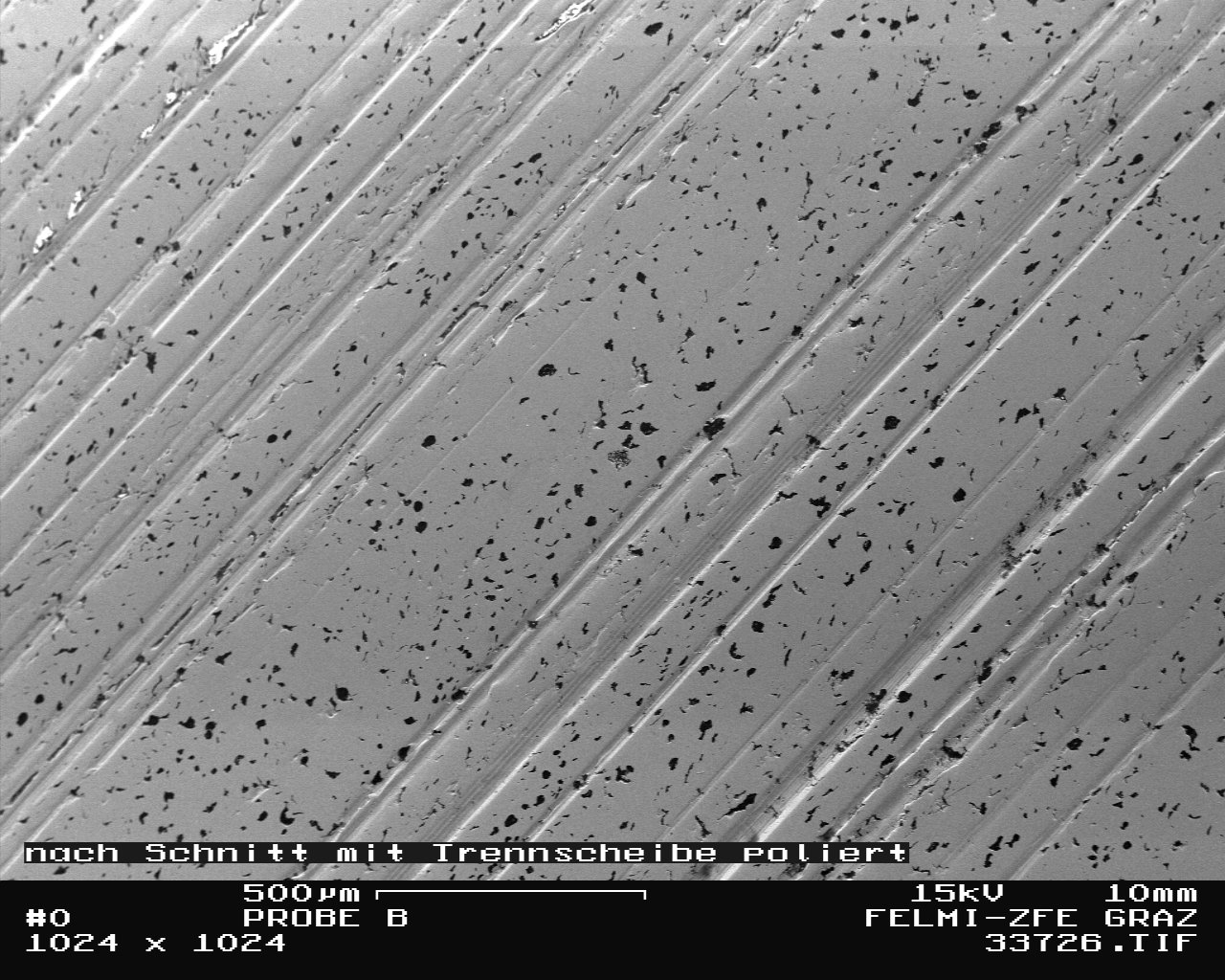 Bild 2: Ungenügend geschliffene und polierte Probe aus Gusseisen mit Kugelgrafit, 100:1 ungeätzt