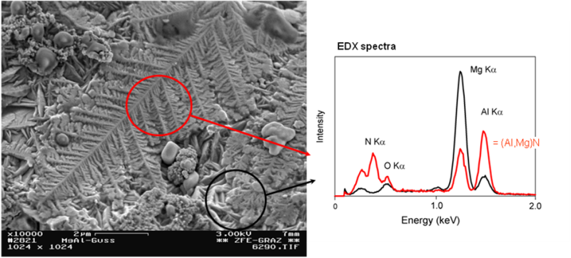Bild 1: links: Sekundärelektronen (SE)-Abbildung der Bruchfläche einer Magnesium-Gusslegierung mit markierten Bereichen für die Mikrobereichsanalyse (EPMA) mittels EDX, rechts: EDX-Spektren – rot = Spektrum der Magnesium-Aluminium-Nitrid-Ausscheidungen – schwarz = Spektrum des Grundmaterials