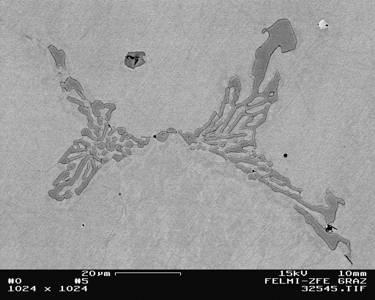 Bild 1. Typische Chromcarbide im Gusseisen mit Kugelgraphit, 1000:1, geätzt